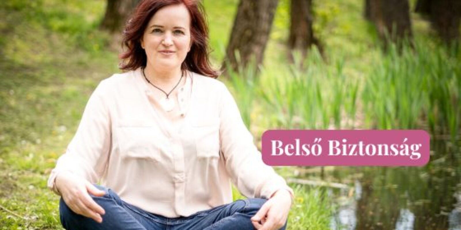 belső biztonság